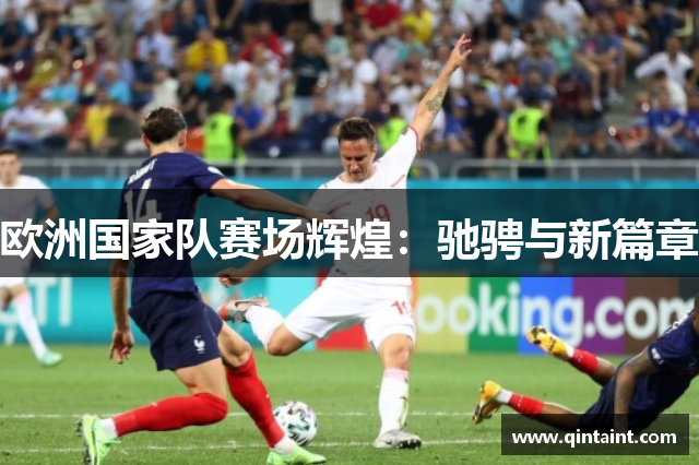 欧洲国家队赛场辉煌：驰骋与新篇章