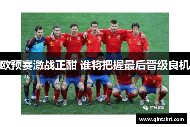 欧预赛激战正酣 谁将把握最后晋级良机