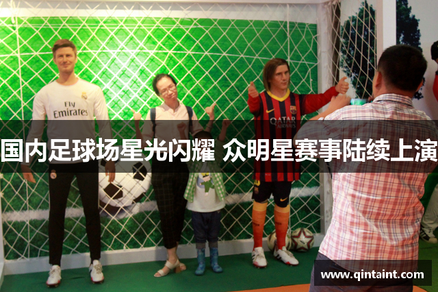 国内足球场星光闪耀 众明星赛事陆续上演