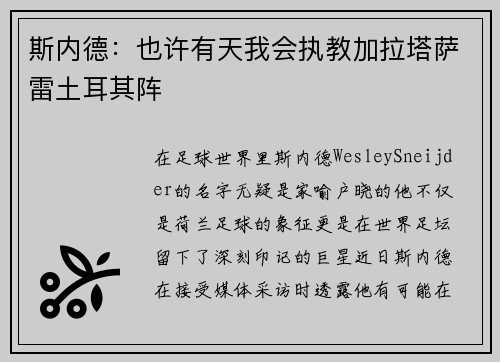 斯内德：也许有天我会执教加拉塔萨雷土耳其阵