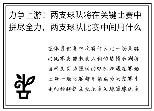 力争上游！两支球队将在关键比赛中拼尽全力，两支球队比赛中间用什么符号
